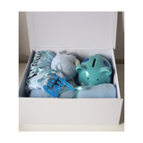 Newborn gift set at Camieroseuk