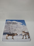 Reindeer scene box card collection, handmade designs at Camieroseuk